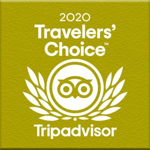 TripAdvisor 2020 Traveler's Choice Award